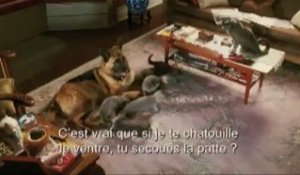 COMME CHIENS ET CHATS EN 3D - LA REVANCHE DE KITTY GALORE - Bande-annonce VO