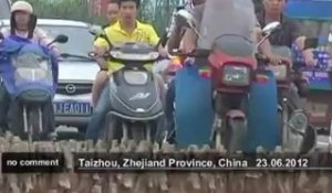 Chine : la (longue) marche des canards - no comment