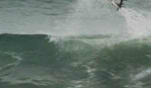 International Surfing Day Contest - Michael Rodrigues Profile