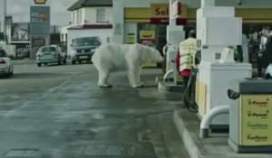 Greenpeace : l'ours polaire SDF de Londres