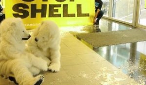 Action coup de poing: les ours de Greenpeace investissent le siège du pétrolier Shell