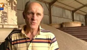 Augmentation du prix des céréales : les agriculteurs en difficulté