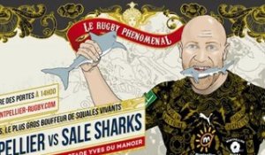 La boite à gifles du Montpellier Hérault Rugby - Episode 5 Saison 3 : Sale Sharks 21/10/2012