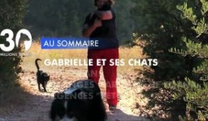 Sommaire émission 30 Millions d'Amis 27/10/2012