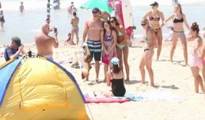 Kellan Lutz s'amuse avec Sharni Vinson à la plage