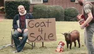 Doritos - Goat 4 Sale