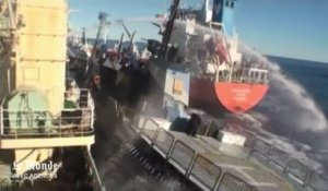 Collision d'un bateau de Sea Shepherd avec un baleinier : les images