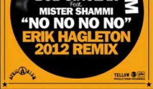 No No No No - Africanism, Bob Sinclar & Mister Shammi (Erik Hagleton 2012 Remix)