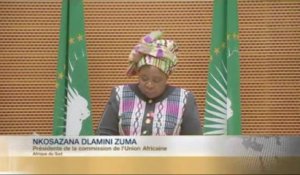 DISCOURS - Nkosazana Dlamini Zuma - Afrique du Sud