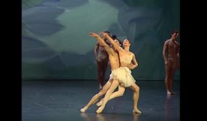 La saison 2013-14 de l'Opéra de Paris : tous les ballets
