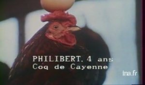 Sam Letrone : dompteur de poules savantes (1980)