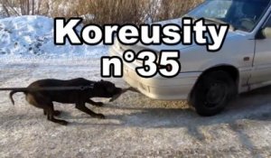 Koreusity n°35