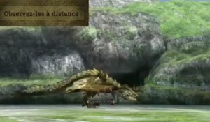 Monster Hunter 3 Ultimate - L'écosystème