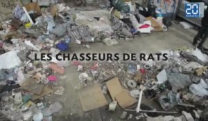 La police sur les traces des rats parisiens