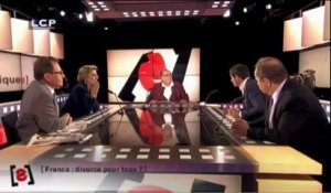 PolitiqueS :  France : divorce pour tous ?