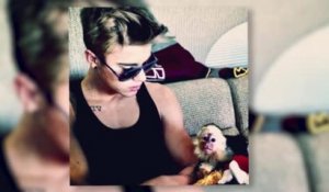 Justin Bieber reçoit une amende salée pour son singe
