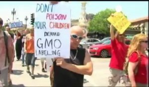 Colère mondiale contre les OGM