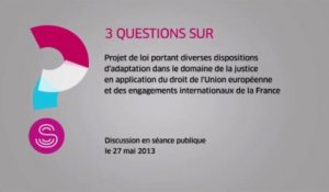 [Questions sur] Projet de loi portant diverses dispositions d'adaptation dans le domaine de la justice en application du droit de l'Union européenne et des engagements internationaux de la France