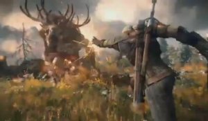 The Witcher 3 - Gameplay