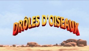 DRÔLES D'OISEAUX - Bande-annonce [VF|HD] [NoPopCorn]