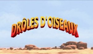 DRÔLES D'OISEAUX - Bande-annonce [VOST|HD] [NoPopCorn]