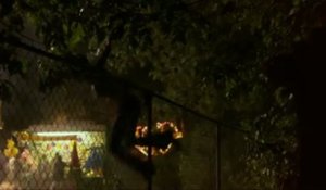 Texas Chainsaw 3D (2013) - Bande Annonce / Trailer [VF-HD]