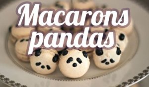 Macarons pandas