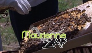 Maurienne Zap N°142