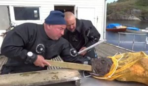 Un poisson chope la main d'un pêcheur et ne le relâche pas... On ampute??