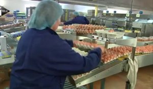 Crise de l'oeuf : S. Le Foll rencontre les producteurs ce mardi