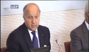 TRAVAUX ASSEMBLEE 14EME LEGISLATURE : Audition de Laurent Fabius, Ministre des Affaires étrangères