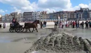 Dunkerque : le joli marathon d'attelages sur la plage