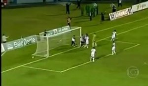 Un kiné brésilien arrête un but et s'enfuit du stade