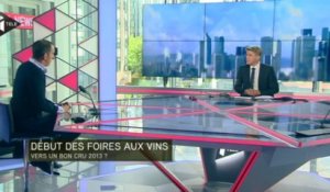 Foires aux vins : les conseils d'un sommelier