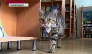 Ce chat est officiellement bibliothécaire en Russie !