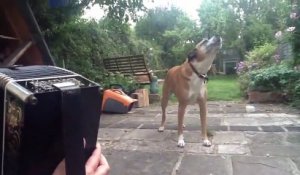 Jessie le chien chante quand son maître joue de l'accordéon. Trop marrant.