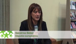 Conférence environnementale 2013 : Itw de Sandrine Bélier, députée européenne