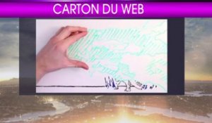 Le carton du web