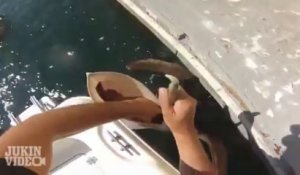 Un poisson sauvé par un pêcheur. Le pélican ne le mangera pas aujourd'hui!