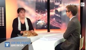 Le chat chouchou des Français