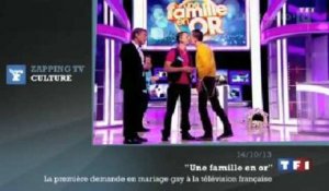 Zapping TV : la première demande en mariage... gay à la télé française