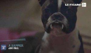 A zapper (ou pas) : alerte au "Chien Vampire" sur Gulli ! (vendredi 18 octobre)