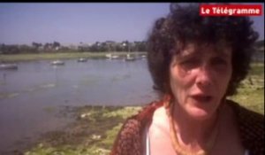 Lorient (56). Le cri d'Isabelle Autissier contre les algues vertes