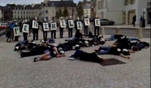 Vannes. Flash mob contre la pénibilité