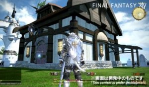 Final Fantasy XIV : A Realm Reborn - Personnaliser sa Maison