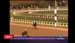 BREEDERS CUP 2013 - RODOLPHE BRISSET - CLOSE HATCHES - Distaff