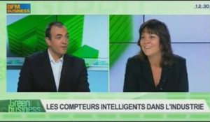 Les monnaies complémentaires à vocation environnementale et les compteurs intelligents dans l'industrie: Etienne Hayem et Laurent Romeo dans Green Business - 03/11 3/4