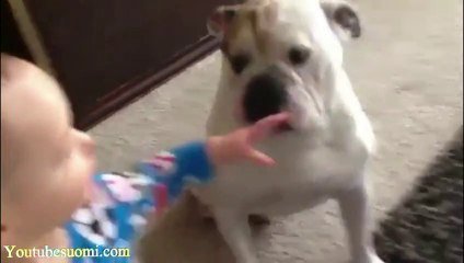 La Compilation De Chien A Voir Absolument Trop Drole Sur Orange Videos