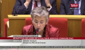 Audition de Stéphane Le Foll sur la réforme de la politique agricole commune - En séance