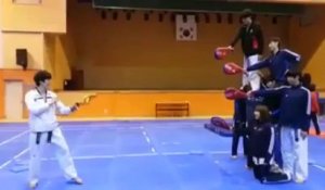 1080 degree kick Taekwondo